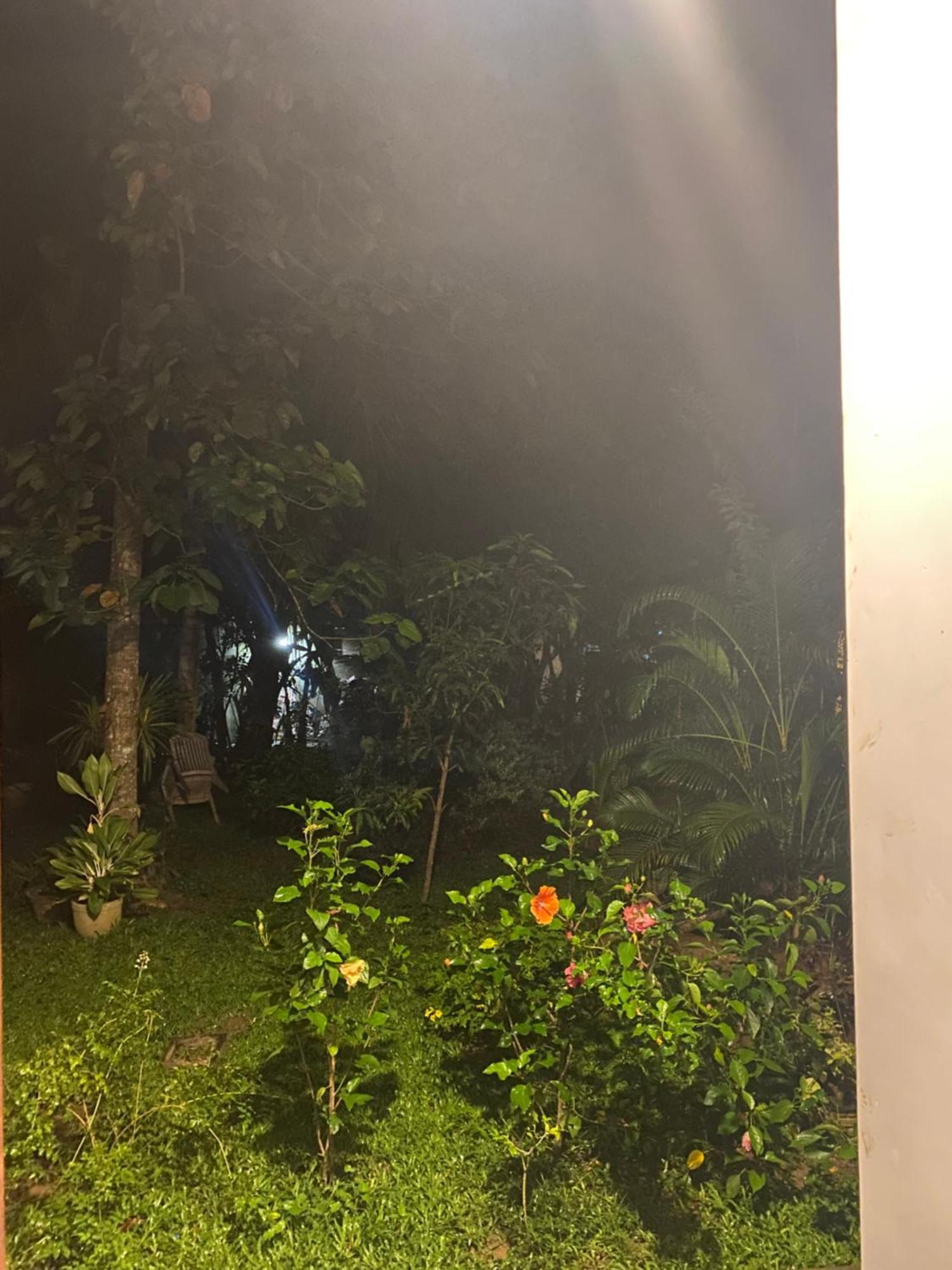 Talalla Ocean Beach Bungalow Matara Eksteriør bilde